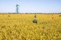 x1
