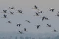 x1