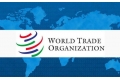 x1