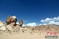 x2