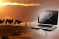 x1