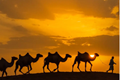 x1