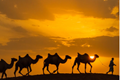 x2