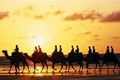 x3